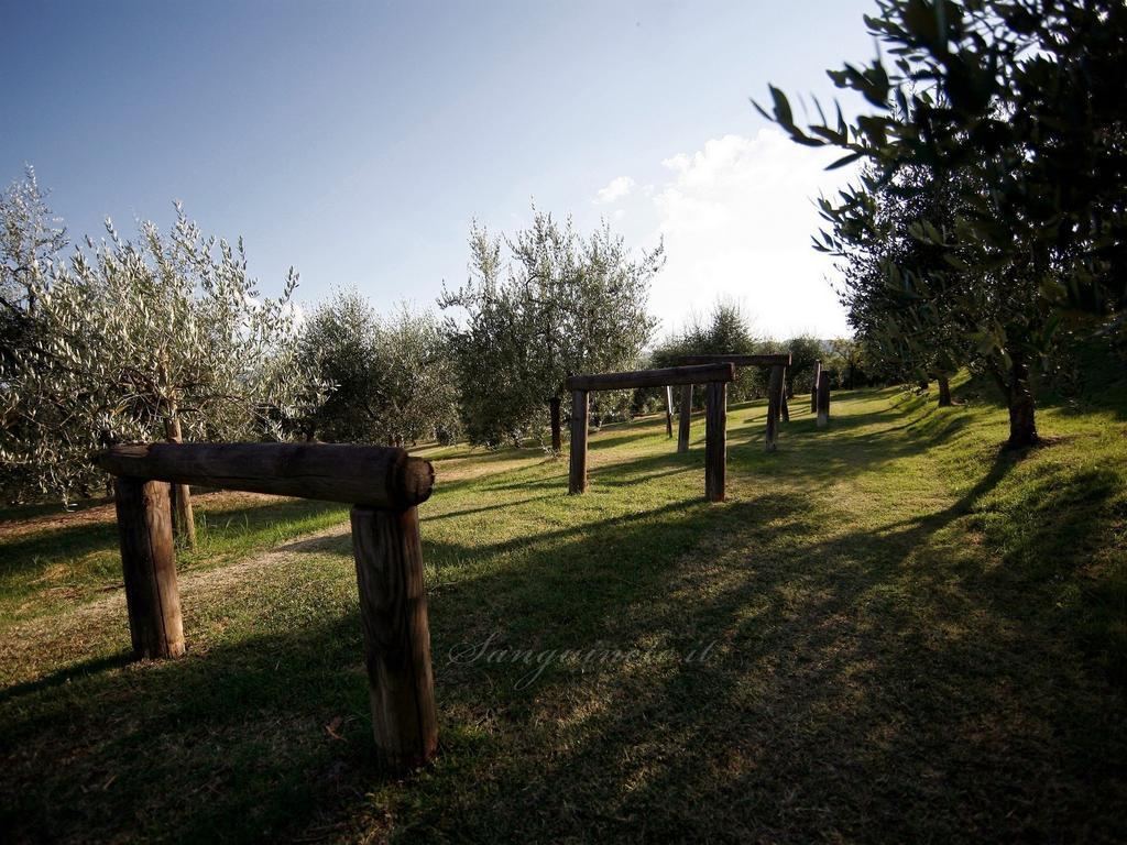 Agriturismo Sanguineto Acquaviva  Eksteriør billede