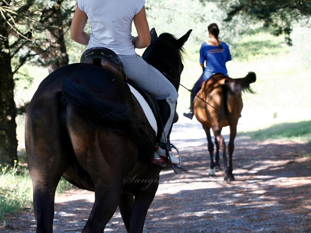 Agriturismo Sanguineto Acquaviva  Eksteriør billede