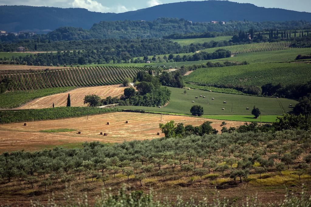 Agriturismo Sanguineto Acquaviva  Eksteriør billede