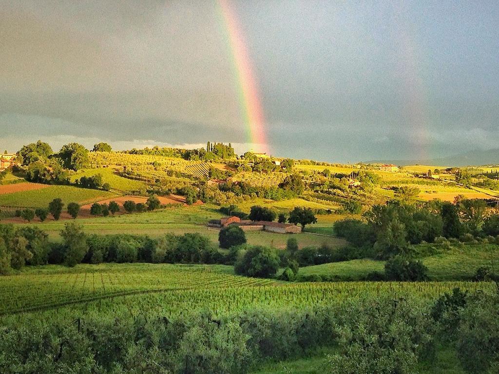 Agriturismo Sanguineto Acquaviva  Eksteriør billede