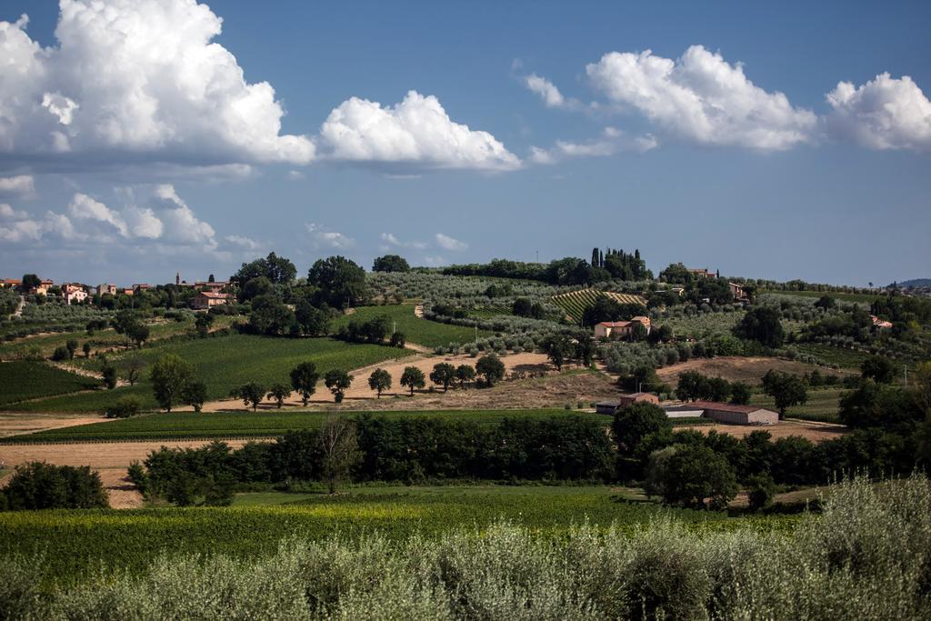 Agriturismo Sanguineto Acquaviva  Eksteriør billede
